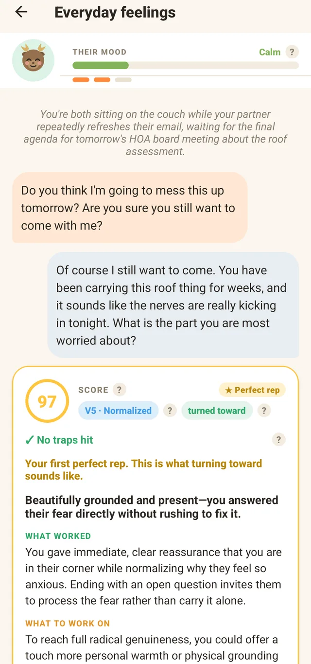 An Everyday feelings scene: the partner asks whether they will mess up tomorrow's meeting.